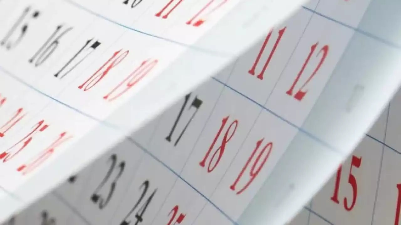 Prossime attività in calendario