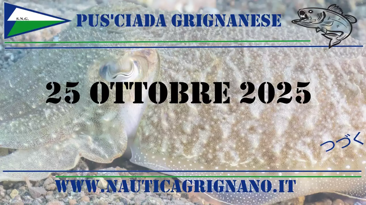 2 gara di pesca alla seppia e calamaro