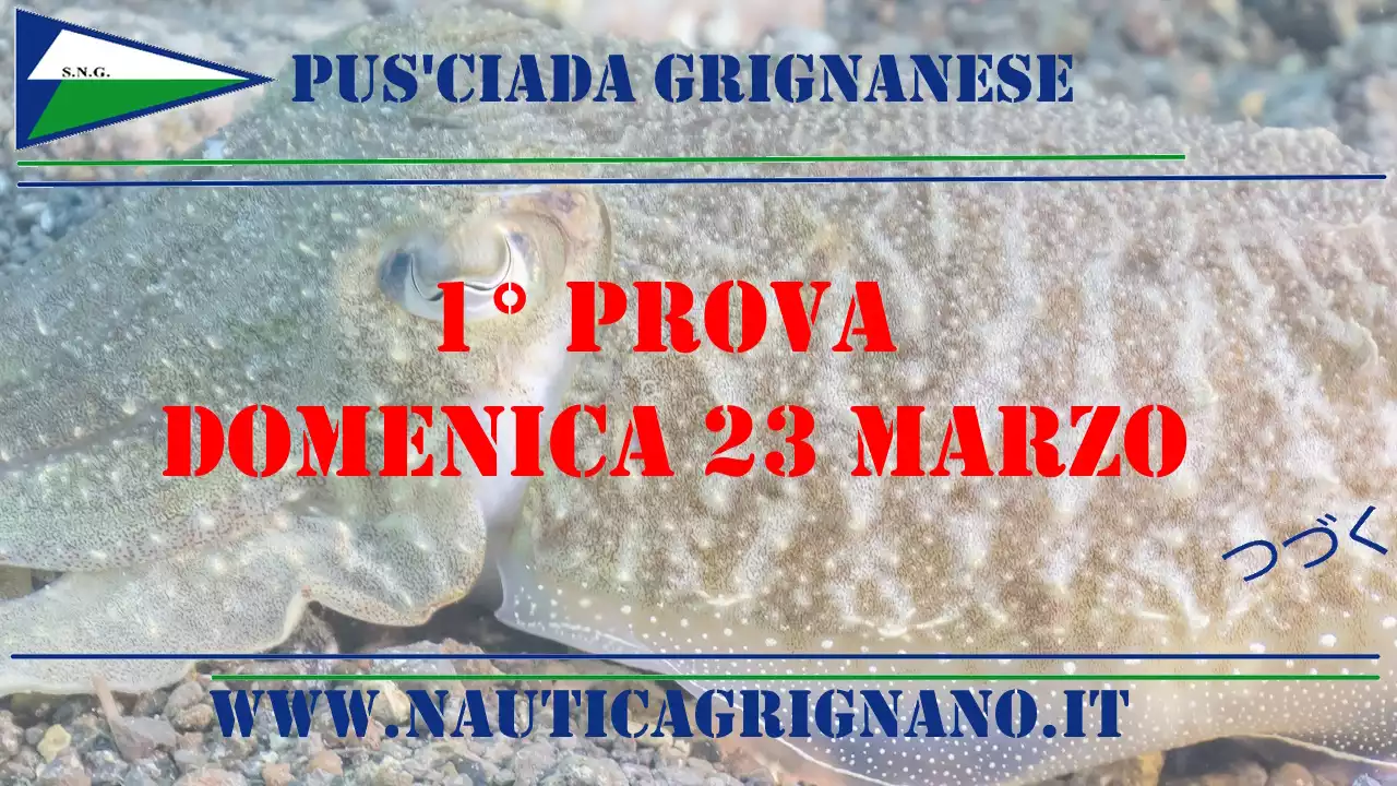 gara di pesca selettiva alla seppia e calamaro 