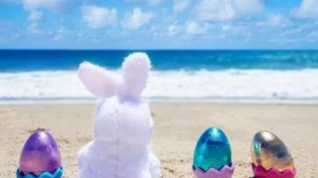 Buona pasqua 