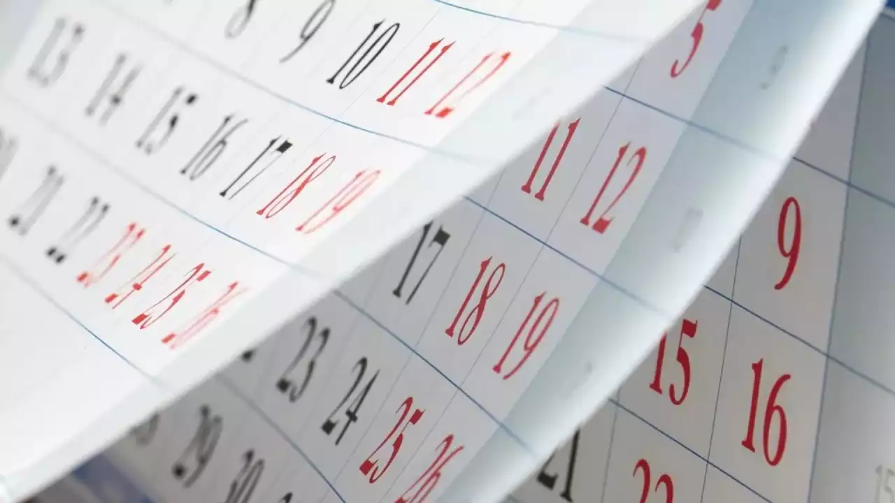 Prossime attività in calendario