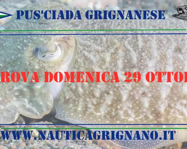 gara di pesca alla seppia e calamaro 