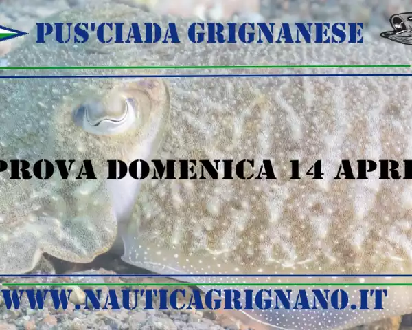 gara di pesca alla seppia e calamaro 