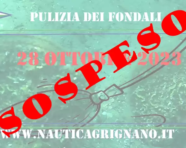 Pulizia dei fondali