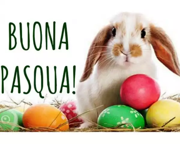 Bicchierata Pasquale 