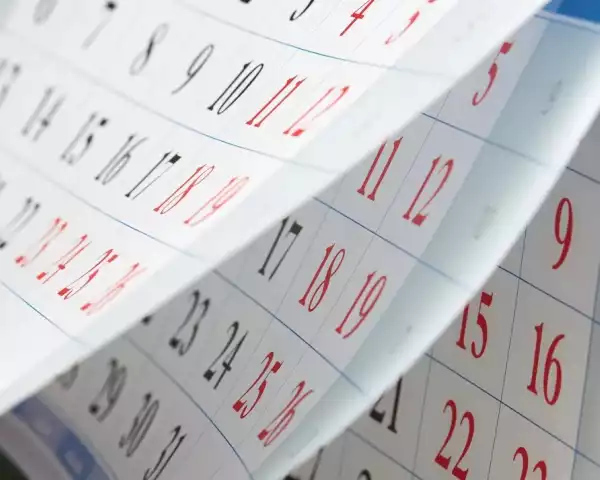 Prossime attività in calendario